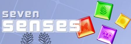 Image of Seven Senses game