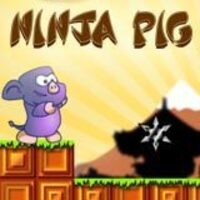 Image for Ninja Pig game