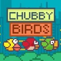 Image for Chubby Birds game