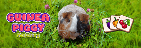 Image of Guinea Piggy Match game