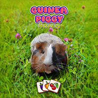 Image for Guinea Piggy Match game