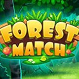 Forest Match