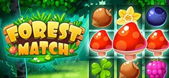 Forest Match