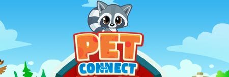 Image of Pet Connect game