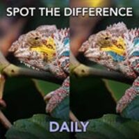 Image for Spot The Difference Daily game